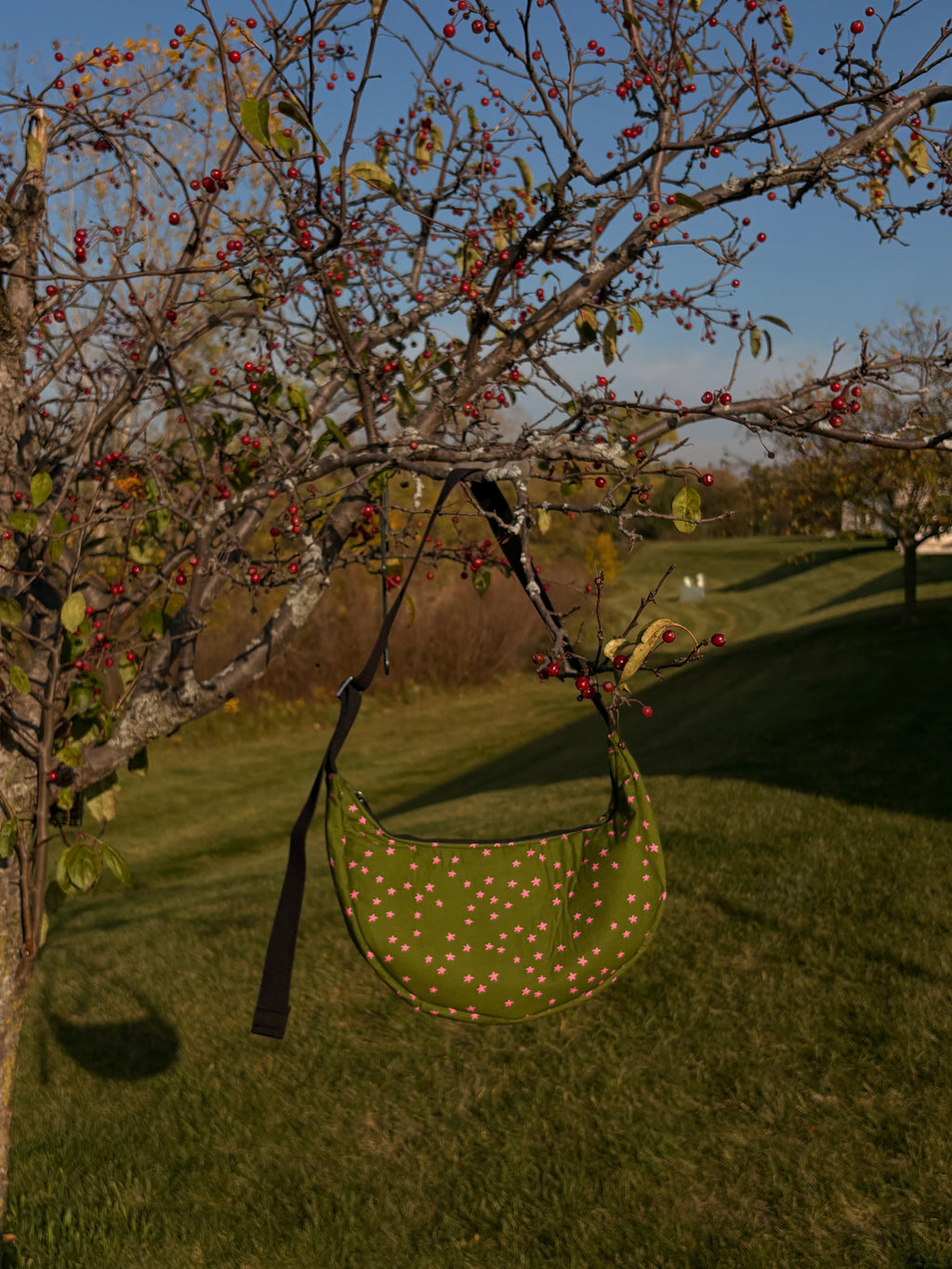 Green + Pink Star Bag