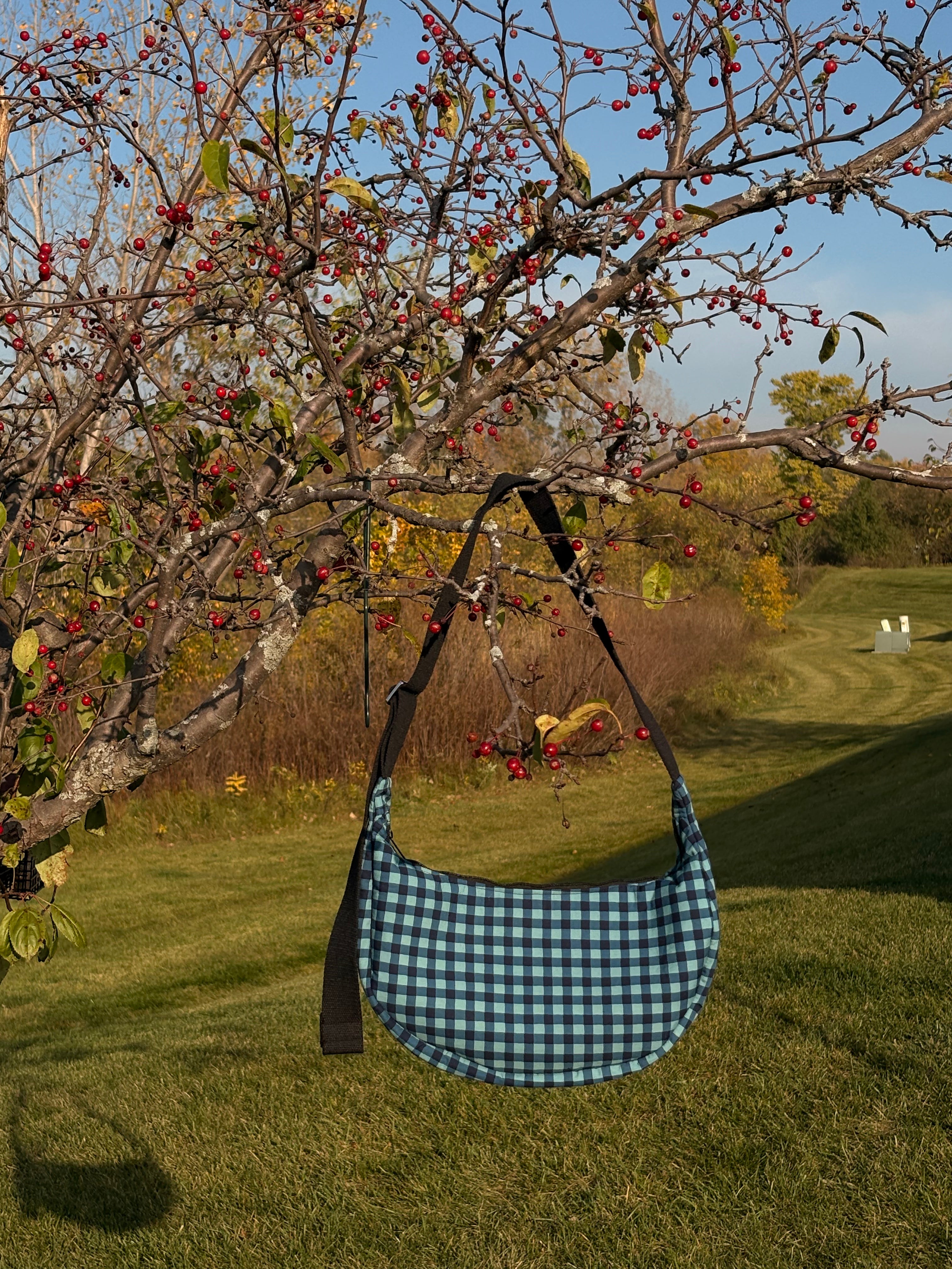 Blue Gingham Bag